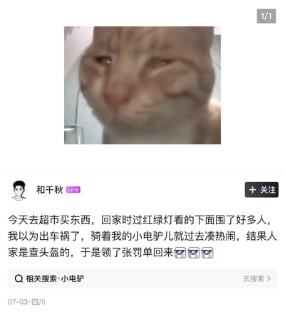 图片上方是一只著名的“哭哭猫”表情包，猫咪一脸委屈、眼中含泪。下方配有网友自述段子，描述自己骑电动车路遇警察查头盔，结果因未戴头盔被罚的真实糗事。哭哭猫的形象强化了“倒霉+委屈”的搞笑氛围。

没有明显谐音梗或暗示，通过表情包与吐槽形成共鸣和幽默感。