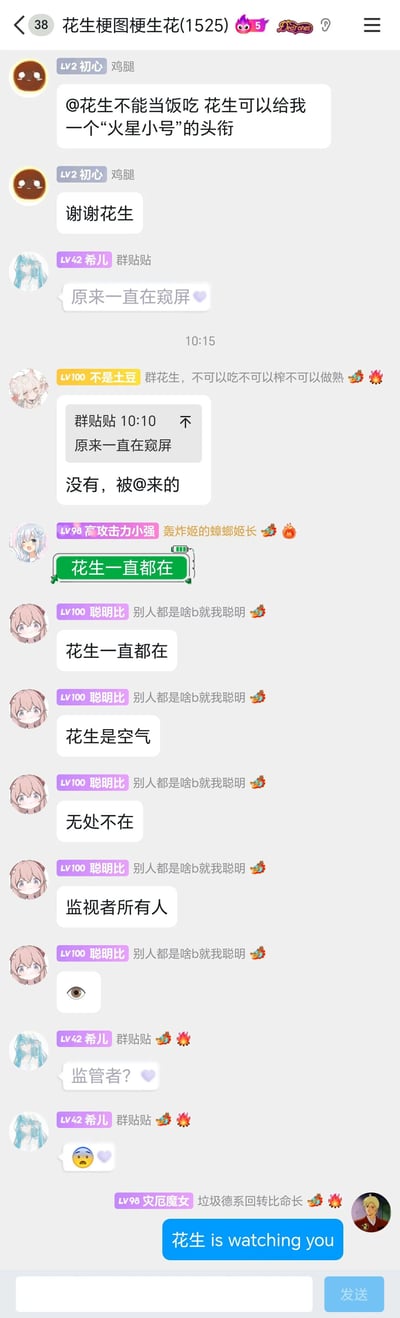 这是一张QQ群“花生梗图梗生花(1525)”的竖屏聊天记录截图，群内成员围绕群管理“花生不能当饭吃”展开轻松搞笑的玩梗互动：用户“鸡腿”先@群管理索要“火星小号”头衔并提前道谢；用户“希儿”调侃有人窥屏，“不是土豆”解释自己是被@来的，还玩了“花生不能吃、榨、做熟”的谐音梗；随后群成员接力玩“花生一直都在”的梗，将“花生”塑造成无处不在的监视者形象，最后用户“灾厄魔女”用“花生 is watching you”化用经典梗收尾，整个群聊氛围活泼充满趣味。