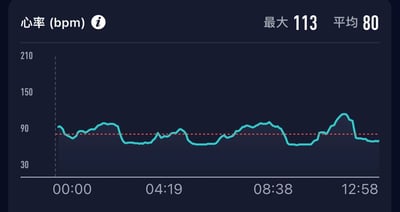 这是一张健康监测类应用或设备的屏幕截图，显示心率（bpm）监测数据。界面采用深色主题，顶部左侧标注“心率 (bpm)”并带有信息图标，右侧显示“最大 113”和“平均 80”。中间是蓝色折线图，Y轴刻度从30到210，X轴显示时间节点00:00、04:19、08:38、12:58，图表中红色虚线标注90bpm基准线，蓝色曲线显示心率波动，整体在90bpm左右起伏，末期有明显上升至接近113bpm。