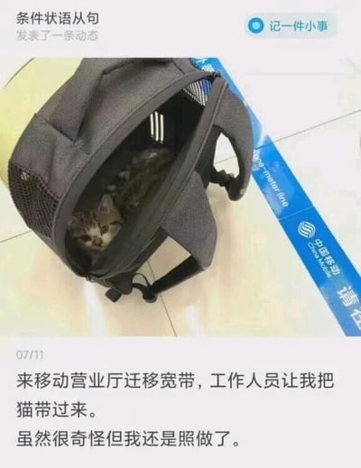 暂无描述