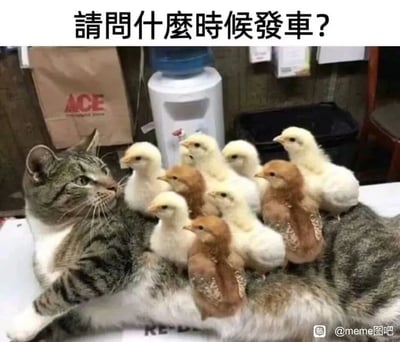 这是一张充满趣味的网络梗图，画面主体是一只瘫在平面上的狸花猫，它的背部和身体上密密麻麻站着十只小鸡，其中有白色和棕色两种。猫咪一脸生无可恋地看向画面左侧，仿佛对身上的小鸡们无可奈何，只能被迫“承载”它们。图片顶部配有简体中文文字“请问什么时候发车？”，玩了谐音梗，将被小鸡占领的猫咪谐音成“鸡（机）车”，把小鸡比作等待发车的乘客，用这种荒诞又可爱的反差感制造出搞笑效果。背景中可以看到饮水机、印有“ACE”字样的纸袋等日常物品，右下角带有“@meme图吧”的水印，表明图片的传播来源。