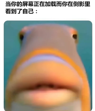 图片上方为黑色文字“当你的屏幕正在加载而你在倒影里看到了自己：”，下方是一张模糊的鱼脸特写照片。鱼的面部特征因模糊而显得扭曲，幽默地模拟了人们在屏幕加载时，从设备反光中看到自己模糊倒影的尴尬又好笑的场景。