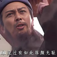 我从未见过如此厚颜无耻之人缩略图