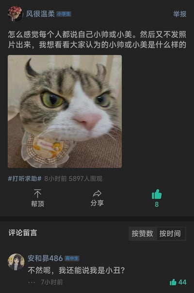 这是一张学生社区的帖子截图，楼主「风很温柔」（标注为小学生）发帖吐槽：“怎么感觉每个人都说自己小帅或小美。然后又不发照片出来，我想看看大家认为的小帅或小美是什么样的”，并搭配了一张表情嫌弃、眼神犀利的猫咪表情包。评论区用户「安和昴486」（标注为高中生）给出高赞回复：“不然呢，我还能说我是小丑？”，精准戳中人们不愿自贬、默认自称小帅小美的普遍心态，充满幽默吐槽感。
无谐音梗、双关或暗示类内容。