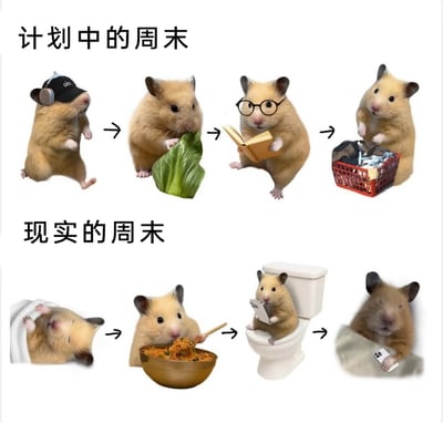 这是一张上下对比的连环梗图，上半部分标注“计划中的周末”，用四只经过P图的仓鼠依次呈现了人们对周末的美好规划：戴着耳机做运动、食用健康的青菜、专注看书学习、认真整理家务；下半部分标注“现实的周末”，对应的四只仓鼠则展现了大多数人真实的周末状态：躺在床上赖睡不起、吃着大碗泡面、坐在马桶上玩手机、裹在被子里继续玩手机。图中用可爱的仓鼠形象，精准还原了当代年轻人计划与现实落差巨大的周末日常，充满共鸣感，十分贴近大众生活。