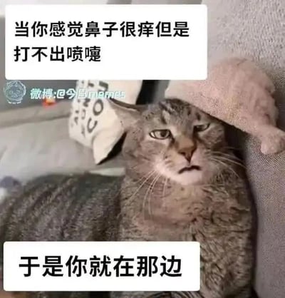 这是一张文字加注类的猫咪表情包，图片主体是一只瘫靠在沙发上的狸花猫，它眉头微皱，眼神呆滞，面部神情看起来既难受又憋屈，完美契合了人们鼻子很痒却打不出喷嚏时的窘迫状态。图片上方配有文字“当你感觉鼻子很痒但是打不出喷嚏”，下方配有文字“于是你就在那边”，通过拟人化的方式，将猫咪的神态与人们遇到这种日常小窘境时的无力、憋屈情绪关联起来，生动又搞笑，能够引发大众的强烈共鸣。