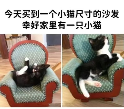 图片为左右两栏拼接的真实照片，上方配有文字'今天买到一个小猫尺寸的沙发 幸好家里有一只小猫'。左图中一只黑白相间的小猫仰卧在绿色波点、红色边框的迷你沙发上，四脚朝天，表情放松；右图中小猫侧卧在同一沙发上，身体舒展，头部微微抬起，展现出与沙发完美适配的可爱场景。整体画面温馨有趣，通过小猫与迷你沙发的互动传递出轻松幽默的氛围。