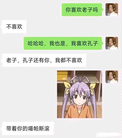 这是一段充满反转笑点的聊天记录截图，消息发送者最初玩文字双关，以“你喜欢老子吗”提问，这里的“老子”兼具自称与道家代表人物的双重含义，在对方回复“不喜欢”后，发送者试图圆场表示自己喜欢孔子，没想到对方直接补刀称老子、孔子连同发送者本人都不喜欢，发送者随即发出动画《悠哉日常大王》中宫内莲华生无可恋的截图，对方更是进一步补刀“带着你的喵帕斯滚”，整个对话利用文字双关和动漫梗制造出扎心又搞笑的效果