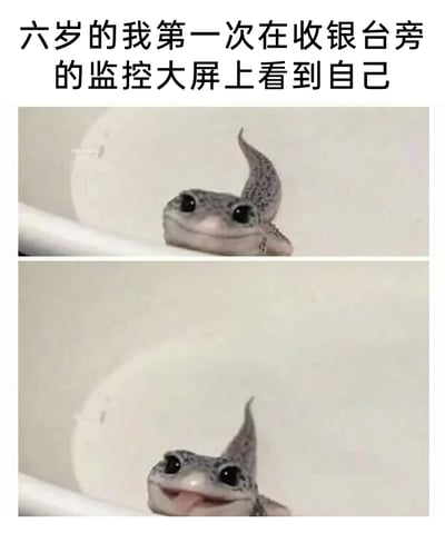 这是一张上下拼接的对比式梗图，上方画面是一只圆眼睛、面带微笑的豹纹守宫从白色栏杆后探出头，下方画面是同一只豹纹守宫露出更兴奋的表情，还吐出了舌头。图的上方配有文字“六岁的我第一次在收银台旁的监控大屏上看到自己”，用豹纹守宫从略带好奇到惊喜开心的表情变化，生动还原了孩童时期第一次在监控屏幕里看到自己时，那种新奇又雀跃的心情，精准戳中童年的童真记忆，容易引发网友的共鸣。