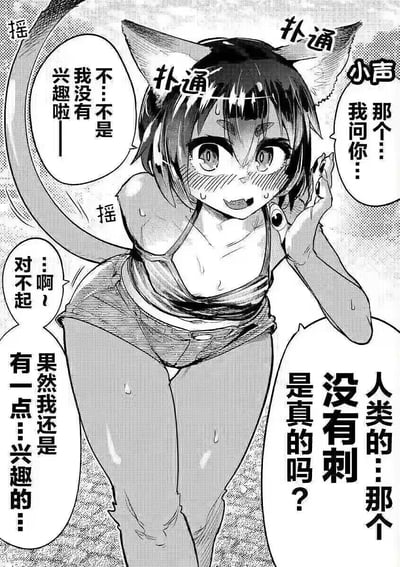 这是一页黑白日式漫画，画面中的猫耳娘浑身冒汗、脸颊通红，扭捏地向对方提出私密问题：“人类的…那个没有刺是真的吗？”。她起初嘴硬声称自己没有兴趣，随后又慌张道歉，坦诚“果然我还是有一点…兴趣的…”。画面中的“扑通”拟声词强化了她紧张到心跳加速的状态，整体氛围充满少女的害羞与窘迫感，展现了角色好奇又嘴硬的反差萌。