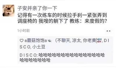 这是一张社交媒体聊天记录截图，用户「子安并亲了你一下」以Doge表情包作为头像，分享了自己练车时的社死趣事：拉手刹时过于紧张，误碰到调座椅的开关，整个人直接躺了下去，教练见状调侃道「来度假的？」。截图下方有其他用户「蘑菇饱饱a」的评论，还有用户「DISCO」连发多个「哈哈」表达爆笑的情绪，整体内容充满搞笑的社死氛围，容易引发有练车经历的用户共鸣。