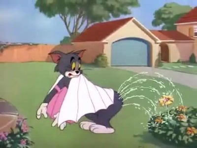 这是经典动画《猫和老鼠》里的搞笑场景：汤姆猫将一块布围在腰上，似乎在遮挡身体，而它的臀部位置正被花园的喷水管喷水，水流向四周散开。汤姆脸上露出尴尬又惊慌的表情，整个画面充满了喜剧效果，是动画里典型的整蛊桥段，没有双关、谐音梗或暗示内容。