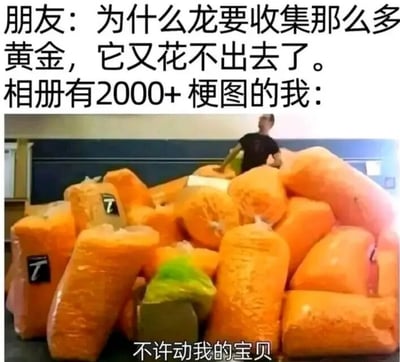 图片上方文字为朋友的提问：“为什么龙要收集那么多黄金，它又花不出去了。” 下方紧接着是“相册有2000+梗图的我：”，并配上一张真实照片——一名男子站在堆积如山的橙色袋装物品后，神情警惕地守护着这些物品。照片底部有白色文字标注“不许动我的宝贝”。通过类比龙囤积黄金与人类收藏梗图的行为，调侃了“无用却珍贵”的收藏心理，引发共鸣。