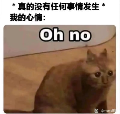 这是一张搞笑表情包，上方用中文配文“*真的没有任何事情发生* 我的心情：”，搭配一只眼神慌乱、表情崩溃的猫咪，猫咪上方还标注了“Oh no”的文字，通过“嘴上说没事”和“内心极度慌乱”的反差感，精准表现出人们遇到糟心事时，嘴硬不想承认但内心已经濒临崩溃的状态，十分贴合日常中嘴硬掩饰情绪的场景。