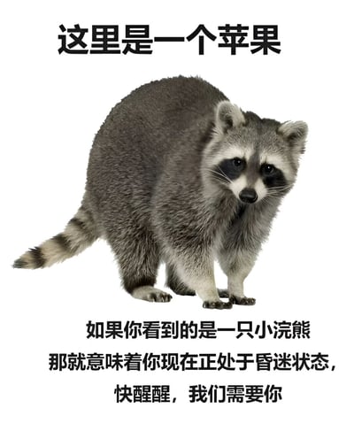 这张梗图通过文字与图像的幽默对比制造笑点：文字声称展示的是苹果，但图片实际是一只浣熊，并开玩笑说看到浣熊意味着观看者处于昏迷状态需要醒来。整体风格轻松有趣，常用于社交媒体上的搞笑分享。