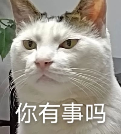 一张猫咪的特写照片，猫咪有着白色的毛发，头顶和耳朵有灰色和棕色的斑纹。它的眼睛半眯，表情看起来有些不耐烦和嫌弃，似乎在质疑对方。图片下方配有文字“你有事吗”，强化了猫咪的表情所传达的情绪。这张图片常被用作表情包，表达对他人打扰的不满或调侃。