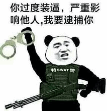 熊猫头SWAT逮捕装逼犯