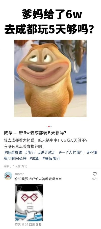 这是一则生活社交平台上的旅游提问帖，楼主发文称父母给了6万元预算，计划去成都玩5天，想要打卡大熊猫、吃火锅串串，同时求景点和美食推荐，并带上了多个旅游相关话题标签。帖子搭配了动画《爆笑虫子》里黄虫的滑稽表情包，营造出夸张的氛围。下方来自四川的网友用调侃的语气回复“你这是要把成都人骑着玩吗宝宝”，并配上戴红框眼镜的卡通表情包，用夸张的吐槽点出6万元玩5天在成都属于远超常规的预算，形成强烈的反差笑点，引发其他用户共鸣点赞。