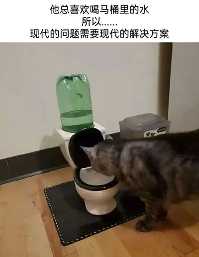 图片上方配有文字“他总喜欢喝马桶里的水 所以…… 现代的问题需要现代的解决方案”，下方是一只虎斑猫正低头将头探入马桶 bowl 中喝水的场景。马桶上放置着一个绿色的饮用水桶，旁边还有一个透明的储物盒，地面铺有木地板，整体呈现出主人为解决猫咪爱喝马桶水问题而采取的幽默“现代解决方案”。
