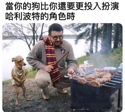 这是一张充满趣味的P图改编静态照片，画面设定在湖边的户外场景中，一位男子戴着圆框眼镜，围着哈利波特系列里格兰芬多学院标志性的红黄色条纹围巾，手持一根类似魔杖的物品，蹲在烤架前专注地翻动正在冒烟的烤肉，装扮出哈利波特的风格。而他身旁的宠物狗被穿上了衣服，以完全拟人化的双腿站立姿势，前爪收在胸前，神态严肃认真，看起来比主人还要投入地模仿哈利波特相关的角色姿态。图片顶部配有简体中文文字‘当你的狗比你还要更投入扮演哈利波特的角色时’，精准点出了画面的搞笑核心，通过人与宠物的反差感，结合热门IP哈利波特的元素，营造出轻松滑稽的氛围，将户外烧烤的日常场景变得充满趣味。背景的湖边树林为画面增添了自然休闲的氛围，烤架上的烤肉也凸显了户外野餐的主题。