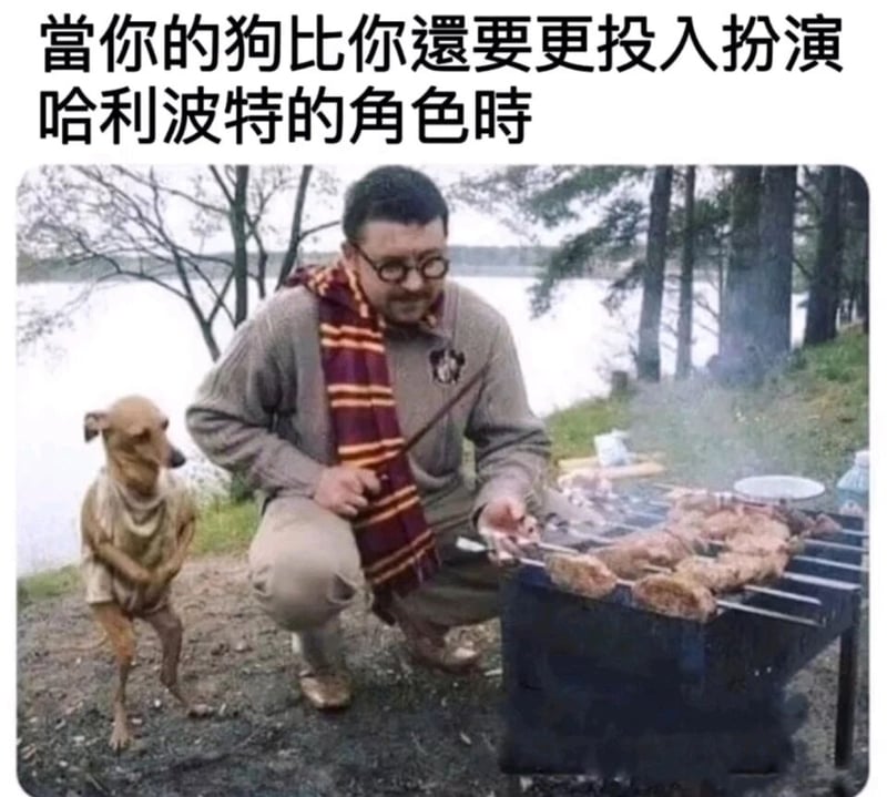 哈利波特系列模仿创作