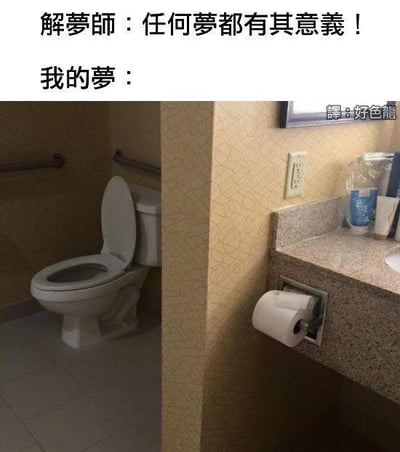 这是一张结合视觉错位与解梦梗的搞笑图文梗图。上方配有文字：“解夢師：任何夢都有其意義！我的夢：”，下方是一张真实拍摄的厕所场景照片，由于拍摄视角巧合，左侧的马桶与右侧洗手台下方的卫生纸架形成了视觉错位，看起来像是一个生物张开嘴巴、吐出舌头的滑稽模样。右下角标注有“譯：好色龍”的水印文字。
笑点解析：利用视觉错位将普通的卫生间场景转化为滑稽的拟人化画面，结合“解梦”的严肃语境，用无厘头的“梦境内容”调侃解梦的说法，形成强烈反差，制造搞笑效果。