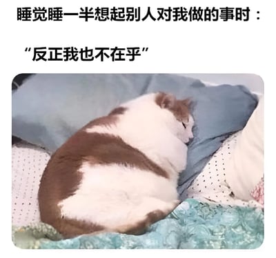 图片上方配有文字“睡觉睡一半想起别人对我做的事时：”，下方是一只棕白相间的胖猫蜷缩在蓝色枕头上熟睡的照片，猫的上方叠加文字“反正我也不在乎”。整体通过猫咪熟睡的慵懒姿态与文字内容形成反差，幽默地表现了人们深夜回忆起他人行为时，表面装作不在乎实则内心可能波澜起伏的状态。