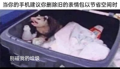 这是一张搞笑网络梗图，上方配文“当你的手机建议你删除旧的表情包以节省空间时”，下方配文“别碰我的垃圾”，图中主体是一只张着嘴、表情抗拒的负鼠，待在灰色垃圾桶里。这张图将用户的心态拟人化为垃圾桶里的“垃圾”，用幽默的方式调侃了大多数人在面对手机清理提示、建议删除旧表情包时的抗拒心态——虽然这些旧表情包在系统看来是占用空间的“垃圾”，但在用户心中是值得留存的内容，精准戳中了人们舍不得丢弃旧表情包的普遍日常体验。