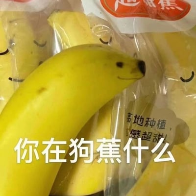 一张展示了多个画有笑脸表情的香蕉的图片。前景中有一个黄色香蕉特别突出，它的顶部被画成了一个笑脸，有眼睛和微笑的嘴巴。背景中可以看到更多装在透明塑料袋中的香蕉，每个香蕉上似乎都画有简单的笑脸。图片下方有一行醒目的白色文字："你在狗蕉什么"。这是一个谐音梗，利用"狗蕉"与"干嘛"发音相似制造笑点，意思是"你在干什么"。