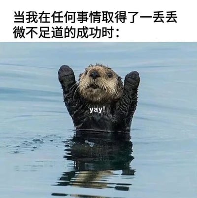 图片上半部分为文字“当我在任何事情取得了一丢丢微不足道的成功时：”，下半部分是一只水獭在水中举起双爪，胸前配有“yay!”字样，形象地表现了人们在获得小成功时的兴奋与庆祝状态，整体风格轻松幽默。