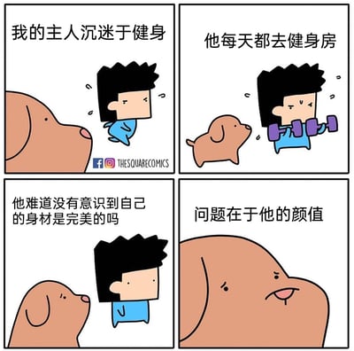 这是一组四格卡通连环漫画，以狗狗的视角展开叙事。第一格中，狗狗看着正在跑步的主人，配文表明主人沉迷健身；第二格呈现主人举着哑铃健身，狗狗在一旁注视；第三格狗狗露出疑惑的神情，内心疑惑主人没意识到自己身材完美；第四格狗狗露出无奈的表情，吐槽主人的问题其实在于颜值。漫画通过狗狗的视角，用反差感制造搞笑效果，调侃主人找错了需要改善的方向，风格轻松诙谐。