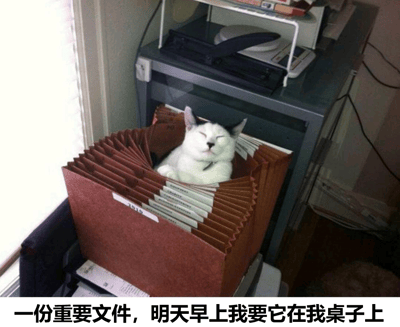 图片中一只黑白相间的猫咪蜷缩在棕色的文件夹堆里，双眼紧闭，正惬意地睡觉。文件夹堆叠在办公环境中，背景可见办公桌、打印机和一些办公用品。图片底部配有文字“一份重要文件，明天早上我要它在我桌子上”，通过猫咪占据文件夹的可爱场景与文字中“重要文件”的严肃要求形成反差萌，营造出幽默搞笑的效果，仿佛猫咪就是那份“重要文件”。