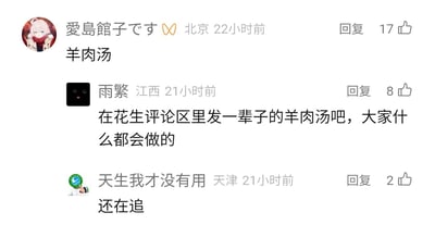 这是一张竖屏格式的社交媒体评论区截图，展示了三条用户评论的互动内容。来自北京的用户“愛島館子です”发布评论“羊肉汤”，获得17个赞；来自江西的用户“雨繁”接着评论“在花生评论区里发一辈子的羊肉汤吧，大家什么都会做的”，获得8个赞；来自天津的用户“天生我才没有用”评论“还在追”，获得2个赞。从评论内容可以看出，这是网友们在名为“花生”的创作者的内容评论区里，围绕“羊肉汤”进行的趣味玩梗互动，氛围轻松有趣。