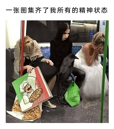 这是一张拍摄于地铁内的照片，画面中共有三位状态迥异的女性和一只乌鸦，上方配文“一张图集齐了我所有的精神状态”。左侧女性穿着日常外套，将头埋在膝盖上，手中的披萨盒倾倒在地，盒内的披萨掉了出来，整个人看起来疲惫又狼狈；中间的女性身着全黑服饰，表情冷漠疏离，一只乌鸦蹲在她的腿上，营造出阴郁的氛围；右侧的女性穿着洁白的婚纱，双手捂脸低头，看起来情绪崩溃，仿佛刚经历了重大的失意事件。这三个女性的状态分别对应了人在生活中会出现的疲惫狼狈、阴郁疏离、崩溃失意等多种负面精神状态，用荒诞又真实的画面引发人们对自身精神状态的共鸣，是用来调侃自身糟糕状态的梗图。