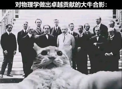 这是一张经过二次创作的历史照片，原图是1927年第五届索尔维会议的物理学家合影，这张合影聚集了爱因斯坦、玻尔、薛定谔等一众对现代物理学做出奠基性贡献的顶尖学者，是物理史上极具标志性的经典照片。改图在照片前景位置P入了一只睁大眼睛直视镜头的猫咪，结合图片顶部的文字“对物理学做出卓越贡献的大牛合影：”，玩了薛定谔的猫的科学梗——薛定谔的猫是量子力学领域的著名思想实验，而提出该实验的薛定谔本人也在这张合影的人群中，这只猫的加入将严肃的物理概念与历史照片结合，让原本庄重的画面变得诙谐有趣，以轻松的方式关联了相关物理知识。