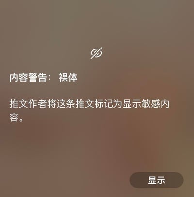 这是X（原推特）平台的一条敏感内容推文提示界面，整体为模糊的深棕色背景，上方配有禁止查看的图标，中间区域显示「内容警告：裸体」和「推文作者将这条推文标记为显示敏感内容。」的提示文字，右下角设有「显示」按钮，用户点击该按钮即可查看被隐藏的敏感推文内容。本图无谐音梗、双关或暗示类内容。