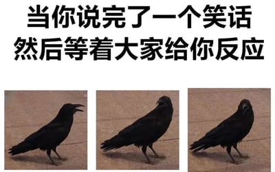 图片上方配有文字'当你说完了一个笑话然后等着大家给你反应'，下方横向排列三张乌鸦的连续照片。第一张乌鸦站立张嘴，仿佛刚讲完笑话；第二张乌鸦仰头张大嘴，表情像是在期待热烈回应；第三张乌鸦闭嘴低头，周围一片寂静。通过乌鸦的表情变化，幽默地比喻了讲完笑话后等待他人反应却遭遇冷场的尴尬社交场景，用动物行为映射人类心理，引发共鸣。
