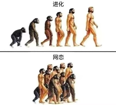 图片分为上下两部分形成鲜明对比。上半部分标题为“进化”，展示经典人类进化序列：从左侧四肢着地的黑猩猩，逐步演变为右侧直立行走的现代人类，体现从原始到进步的线性发展。下半部分标题为“网恋”，则呈现相反场景：多个不同进化阶段的人物（包括猿类、早期人类和现代人类）拥挤在一起，整体从右侧向左侧移动，姿态混乱，仿佛呈现“退化”趋势。通过这种视觉反差，幽默讽刺了网恋过程中可能出现的混乱或“倒退”现象，引发对网恋复杂性的共鸣。
