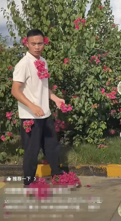 一位男孩全身被粉色花朵覆盖，包括衣服、裤腿、耳朵等多个部位，同时脚下也有一堆花朵，看起来十分显眼。背景是一排盛开的花丛，与男孩身上的花相互呼应，画面很有趣味感。图片画风充满青春、活力气息，带有环保、自然以及一点点搞笑的元素。整体给人一种“人花合一”“与环境融为一体”的幽默感。未发现明显的双关或谐音梗。