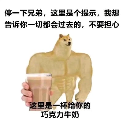 这是一张经过P图改编的暖心安慰类表情包，将知名的Cheems柴犬头部与健硕的人类肌肉身体合成，形成反差感的形象。图中角色手持一杯巧克力牛奶，配文以亲切的语气安慰观看者：“停一下兄弟，这里是个提示，我想告诉你一切都会过去的，不要担心。这里是一杯给你的巧克力牛奶”，用温柔的话语和具象的“安慰饮品”，传递出温暖治愈的鼓励情绪，适合在他人遭遇挫折、情绪低落时发送，给予对方心理慰藉。