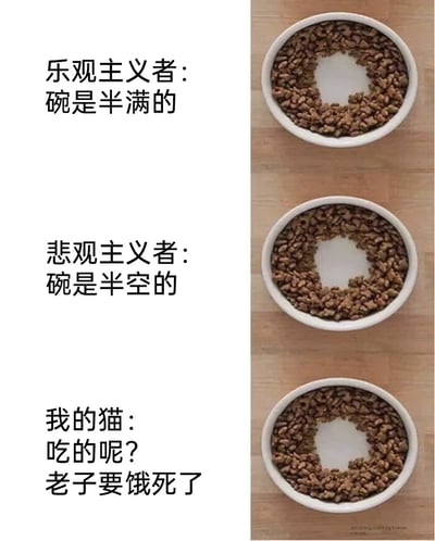 图片采用左右对比的图文混排结构，左侧为三段文字，分别描述不同视角：'乐观主义者：碗是半满的'、'悲观主义者：碗是半空的'、'我的猫：吃的呢？老子要饿死了'；右侧对应展示三个完全相同的白色碗，碗中宠物粮呈环形排列，中间留有圆形空白区域。通过将哲学层面的乐观与悲观视角，与猫咪夸张的饥饿反应进行对比，形成强烈的幽默反差，突出不同立场下对同一事物的认知差异。