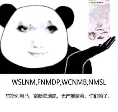 这是一张经过P图改编的静态单图表情包，属于图文混排的表情素材图。图中经典熊猫头的脸部被替换成人类的脸，表情略带嘲讽，眼神戏谑，右手摊开，手掌上方托举着一个类似游戏小程序的界面图。图片下方配有两行文字，第一行是一串常见的网络脏话拼音缩写“WSLNM,FNMDP,WCNMB,NMSL”，第二行则是利用谐音梗将这些脏话缩写改写为看似正常的中文句子“忘斯列恩马，富孽满地跑，无产难蒙蔽，你们输了”，通过谐音的方式消解了脏话的攻击性，同时制造出反差感，形成搞笑戏谑的效果，多用于网络社交互动中，以玩梗的方式表达情绪。
