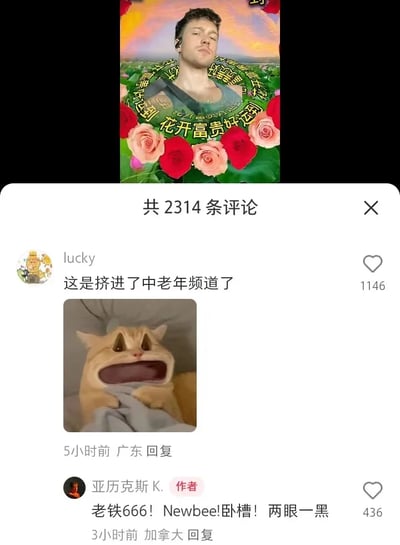 这是一张竖屏格式的短视频平台评论区截图，顶部是博主“亚历克斯K.”的视频封面：一位外国男性的头像被搭配上中国中老年风格的装饰，环绕着“花开富贵好送到”的字样，还有玫瑰、荷花图案，形成强烈的视觉反差。下方评论区中，来自广东的用户“lucky”发布评论“这是挤进了中老年频道了”，并配上一张猫咪震惊到张嘴、抓着被子的表情包，该评论获得1146个赞；随后来自加拿大的作者“亚历克斯K.”用非常接地气的中文网络热词回复“老铁666！Newbee!卧槽！两眼一黑”，获得436个赞。整个互动充满搞笑的反差感，体现了外国博主对中文网络文化的熟悉，以及中外网络文化碰撞出的趣味效果。