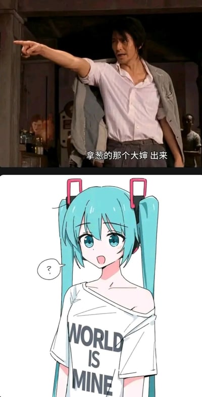 这是一张上下拼接的创意梗图，上图截取了周星驰主演的电影《功夫》中的经典场景，画面里周星驰饰演的角色伸出手指向前方，配文“拿葱的那个大婶 出来”；下图是虚拟歌手初音未来的卡通形象，她有着标志性的蓝绿色双马尾，穿着印有“WORLD IS MINE”的宽松T恤，脸上露出疑惑的神情，旁边还有问号对白气泡。该梗图结合了初音未来的经典关联内容《甩葱歌》，将影视台词和二次元角色进行联动，制造出“把可爱的虚拟歌手喊成大婶”的反差搞笑效果。