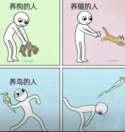 这是一张四格对比漫画，通过简洁的 stick figure 风格展现不同宠物主人的日常状态。左上角第一格标题为“养狗的人”，绿色背景下，一个白色小人弯腰开心地抚摸着一只棕色小狗，表情愉悦；右上角第二格“养猫的人”，粉色背景中，小人伸手想要触碰一只黄色猫咪，但猫咪却扭头逃跑，留下一个残影；左下角第三格“养鸟的人”，蓝色背景里，小人单手抓着一只小鸟，表情呆滞无奈；右下角第四格没有标题，蓝色背景下，小人身体前倾、弯腰低头，似乎在寻找什么，旁边有一只小鸟快速飞走的残影，暗示鸟已飞走。整幅漫画通过夸张对比，幽默呈现了养狗的掌控感、养猫的“被嫌弃”、养鸟的失落等不同宠物相处模式。