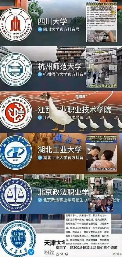 这张图以多图拼接的形式，汇总了6所国内高校近期引发网络热议的争议事件：
1. **四川大学**：搭配张薇地铁偷拍事件的相关报道截图，该事件因当事人不当言论引发全网讨论；
2. **杭州师范大学**：展示食堂内女生情绪激动质问他人的场景截图；
3. **江西工业职业技术学院**：用“一群鹅”的画面调侃该校的“鼠头鸭脖”食品安全事件；
4. **湖北工业大学**：呈现图书馆内女生质问他人打电话的冲突场景截图；
5. **北京政法职业学院**：放出三名男生被女生围堵的场景截图，下方附事件当事人的文字说明，讲述事件经过为女生将饭扣在男生头上，后续女生赔偿300元并道歉；
6. **天津大学**：搭配相关争议事件的截图。
整体用调侃的方式整合这些引发舆论关注的校园事件，无谐音或双关梗，均直接对应真实事件。