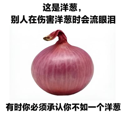 图片中央是一颗完整的紫红色洋葱，上方配有文字“这是洋葱，别人在伤害洋葱时会流眼泪”，下方配有文字“有时你必须承认你不如一个洋葱”。通过将洋葱被切时会使人流泪的特性拟人化，形成一种自嘲式幽默，暗示有时人在面对伤害时可能不如洋葱“能让人在意”或“能表达情绪”。