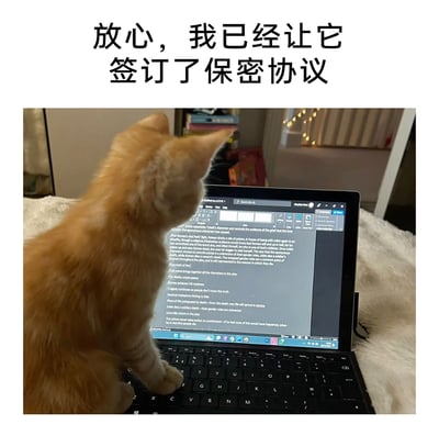 这是一张趣味搞笑的图文结合图，画面主体是一只橘色小猫，它坐在笔记本电脑的键盘上，正专注地盯着屏幕上的内容。屏幕中显示的是关于经典戏剧《罗密欧与朱丽叶》的文学分析文档，包含对剧中悲剧元素、角色行为、叙事手法等多方面的研究文字。图片上方配有文字“放心，我已经让它签订了保密协议”，以幽默的口吻调侃小猫“偷看”了电脑里的文档内容，用签订保密协议的说法来制造反差感，将日常萌宠场景和职场中的保密概念结合，营造出轻松搞笑的氛围，十分贴合当下网络的趣味表达风格。