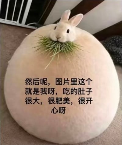 这是一张搞笑萌宠梗图，利用视觉错位制造趣味效果：画面里白色兔子仅露出头部，嘴里叼着青草，趴在和自身毛发颜色相近的圆滚滚浅色软垫上，看起来仿佛兔子的身体和软垫融为一体，体型极度肥胖圆滚。图中配文以兔子的第一视角调侃自己吃太多变得肥美开心，氛围轻松萌趣。