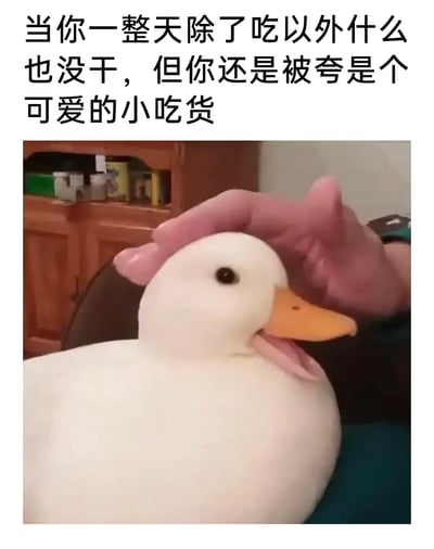 这是一张治愈系搞笑梗图，顶部配有文字“当你一整天除了吃以外什么也没干，但你还是被夸是个可爱的小吃货”，下方是一只软萌的白色柯尔鸭正被人的手温柔抚摸头部，鸭鸭眼神柔和、神态温顺满足，完美共情了那种啥也没做只专注干饭，却收获夸赞时的小窃喜与满足感，用萌宠的可爱画面让日常摸鱼干饭的场景变得治愈又有趣，很容易引发网友的共鸣。